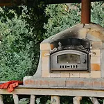 Chestnut - Yurt *