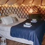 Chestnut - Yurt