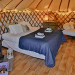 Chestnut - Yurt *