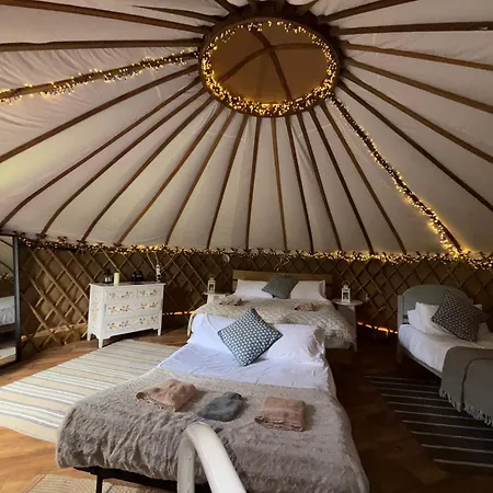 Chestnut - Yurt * Slane