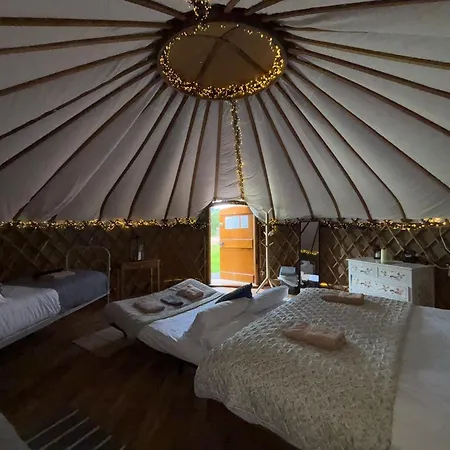 Chestnut - Yurt Slane