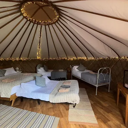Chestnut - Yurt Slane
