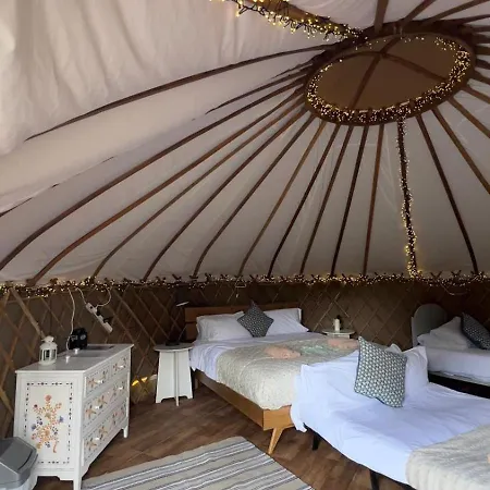 Chestnut - Yurt * Slane