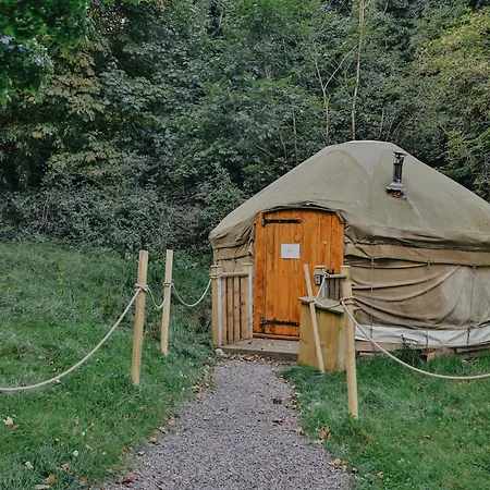 Chestnut - Yurt Tatil Evi