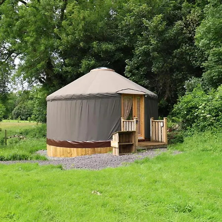 Chestnut - Yurt