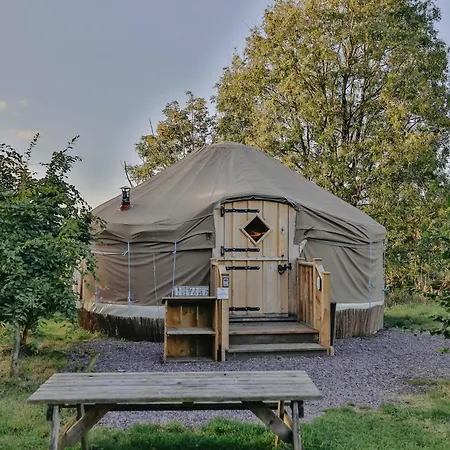 Chestnut - Yurt Слейн