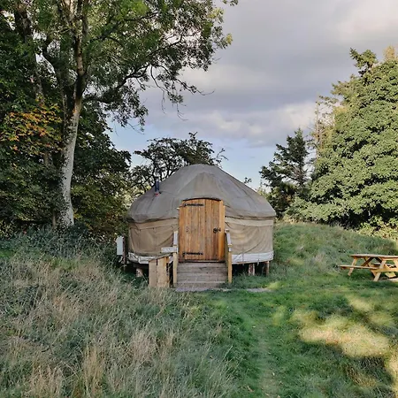 Chestnut - Yurt Tatil Evi Slane