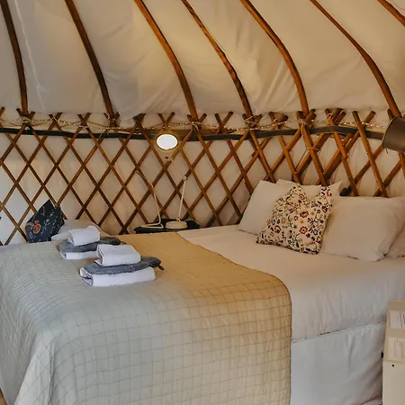 Chestnut - Yurt Слейн