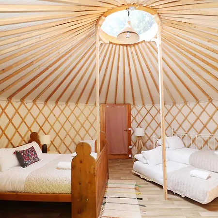 Chestnut - Yurt * Slane