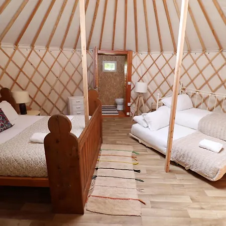 Chestnut - Yurt *
