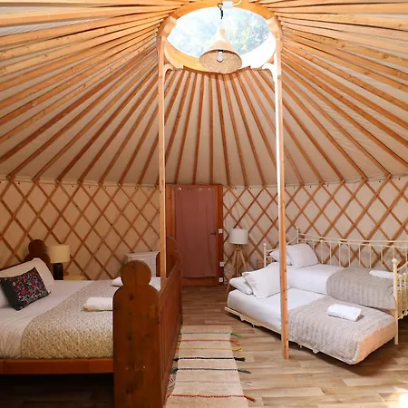 Chestnut - Yurt Slane