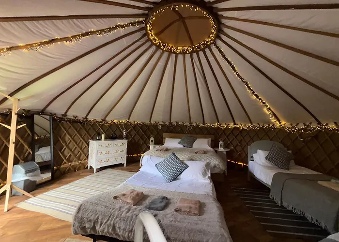Chestnut - Yurt * Слейн