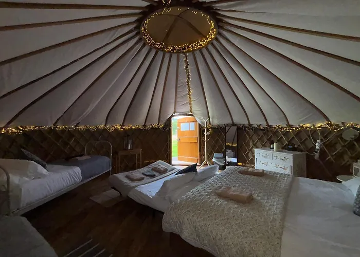 Chestnut - Yurt Slane