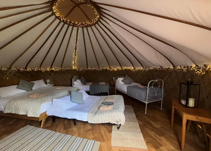 Chestnut - Yurt Slane