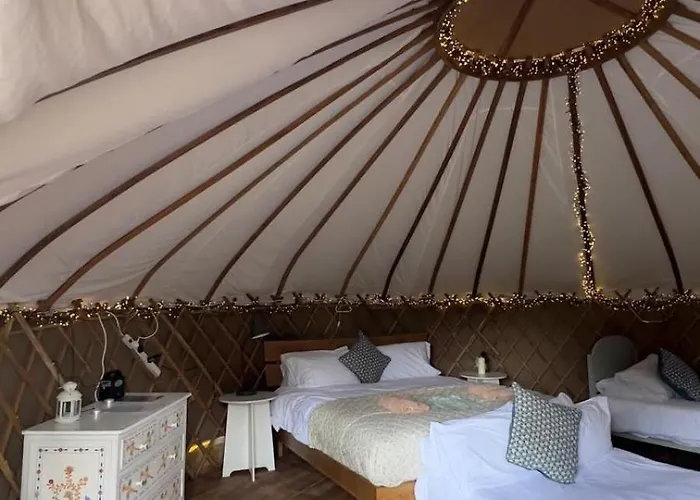 Chestnut - Yurt * Slane