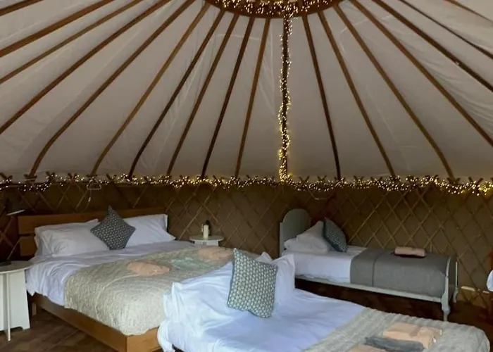 Chestnut - Yurt * Слейн
