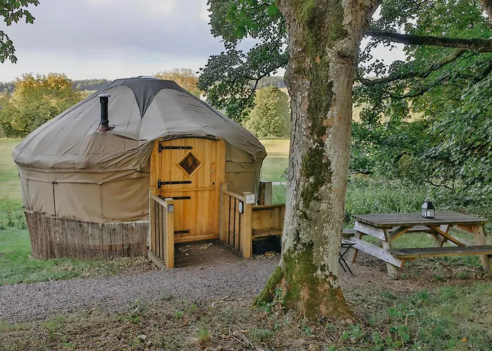 Chestnut - Yurt Slane