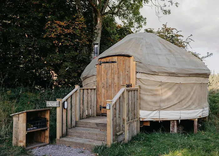 Chestnut - Yurt *