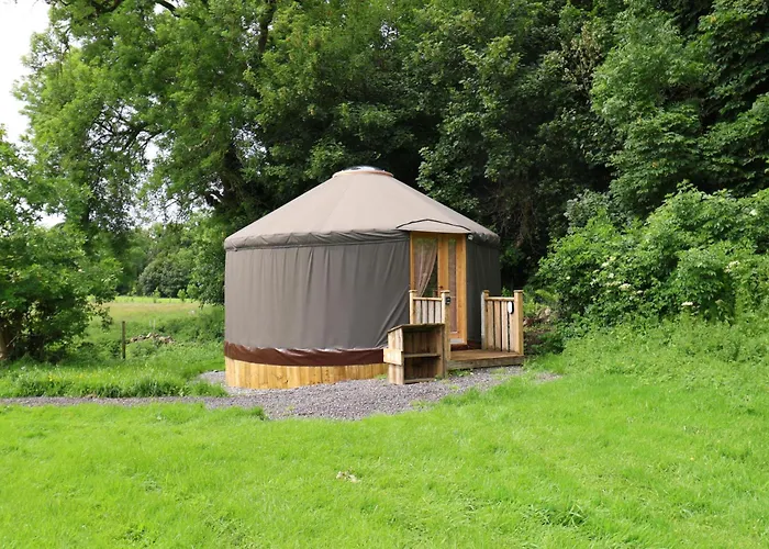 Chestnut - Yurt