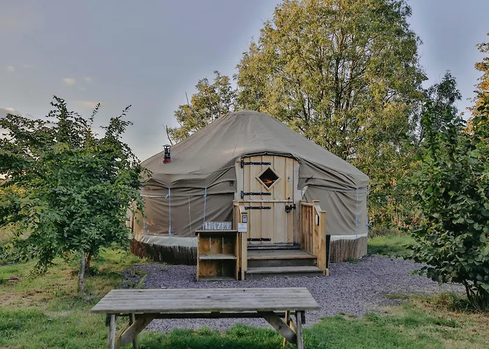 Chestnut - Yurt Слейн