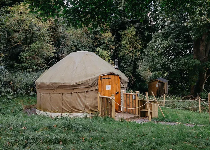 Chestnut - Yurt Дом отдыха