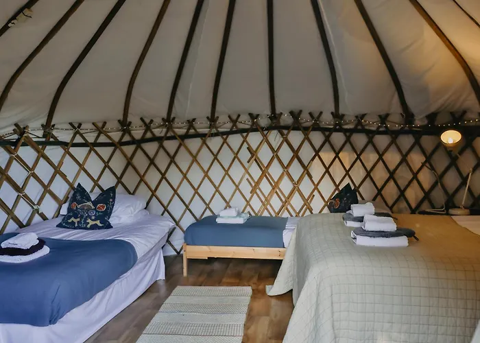 Chestnut - Yurt * Слейн