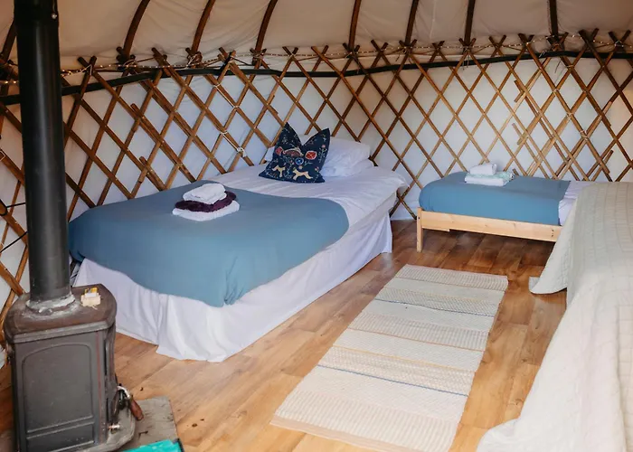 Chestnut - Yurt Slane