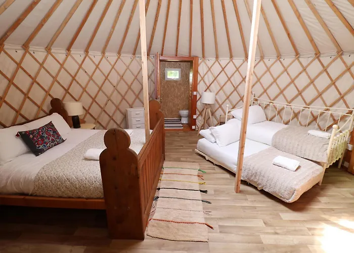 Chestnut - Yurt *