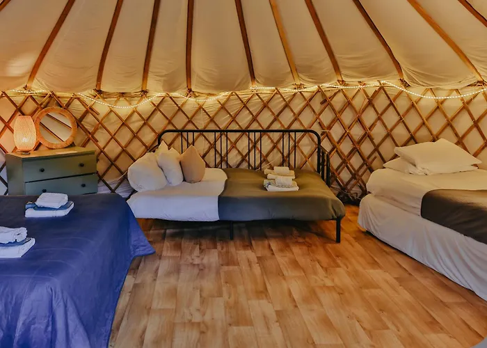 Chestnut - Yurt Slane