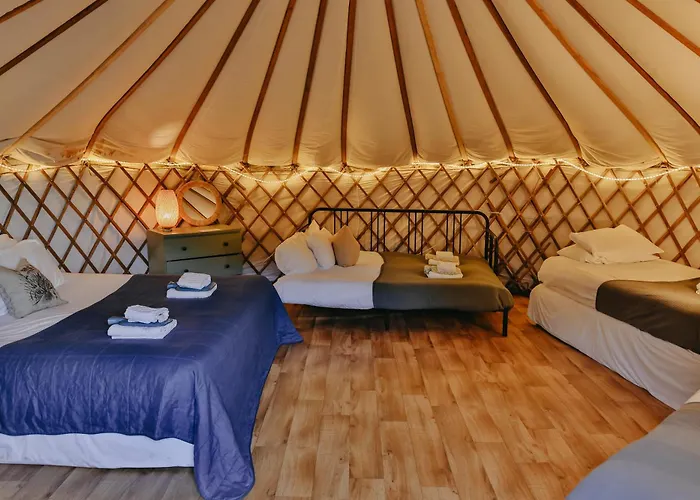 Chestnut - Yurt * Слейн